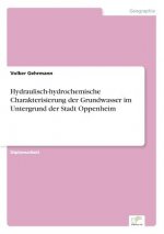 Hydraulisch-hydrochemische Charakterisierung der Grundwasser im Untergrund der Stadt Oppenheim