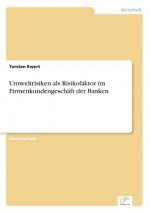 Umweltrisiken als Risikofaktor im Firmenkundengeschaft der Banken