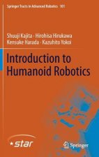 Introduction to Humanoid Robotics