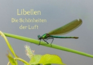 Libellen - Die Schönheiten der Lüfte (Tischaufsteller DIN A5 quer)