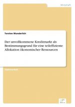 unvollkommene Kreditmarkt als Bestimmungsgrund fur eine teileffiziente Allokation oekonomischer Ressourcen