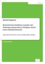 Betriebswirtschaftliche Aspekte der Nutzung regenerativer Energien durch einen Industriebetrieb