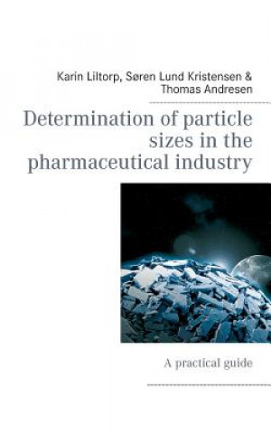 Determination of particle sizes in the pharmaceutical industry