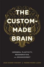 Custom-Made Brain