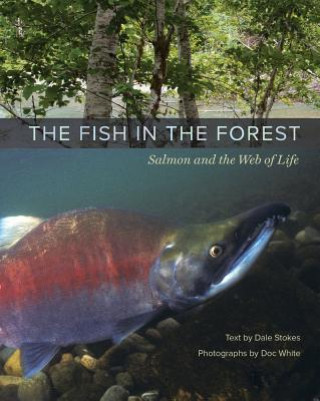 Fish in the Forest