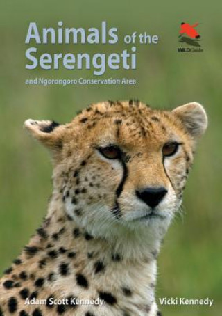 Animals of the Serengeti