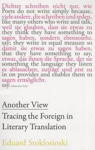Another View - Tracing the Foreign in Literary Translation