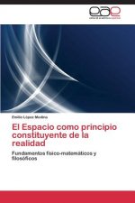 Espacio como principio constituyente de la realidad