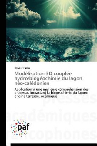 Modelisation 3D Couplee Hydro/Biogeochimie Du Lagon Neo-Caledonien