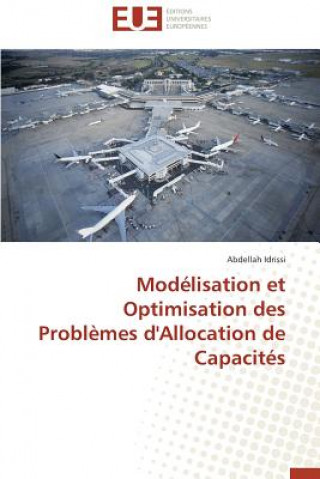 Mod lisation Et Optimisation Des Probl mes d'Allocation de Capacit s