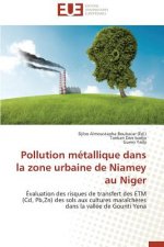 Pollution M tallique Dans La Zone Urbaine de Niamey Au Niger
