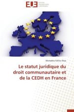 Statut Juridique Du Droit Communautaire Et de la Cedh En France