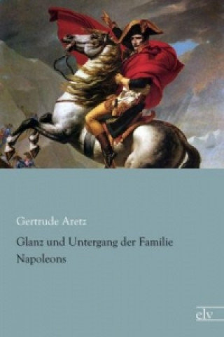 Glanz und Untergang der Familie Napoleons