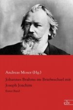 Johannes Brahms im Briefwechsel mit Joseph Joachim