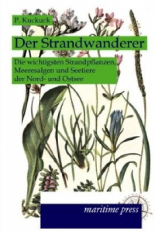 Der Strandwanderer