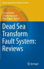 Dead Sea Transform Fault System: Reviews