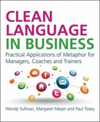 Clean Language in Business