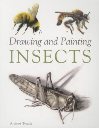 Drawing and Painting Insects