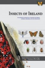 Insects of Ireland