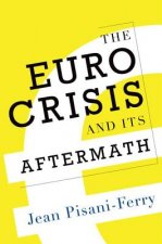 Euro Crisis and Its Aftermath