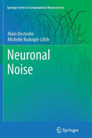 Neuronal Noise