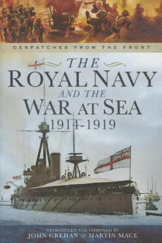 Royal Navy and the War at Sea - 1914-1919