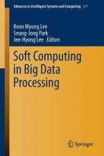 Soft Computing in Big Data Processing