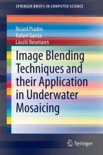 Image Blending Techniques and their Application in Underwater Mosaicing