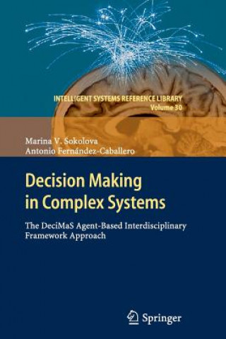 Decision Making in Complex Systems