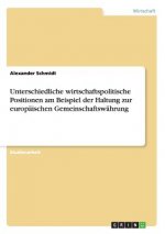 Unterschiedliche wirtschaftspolitische Positionen am Beispiel der Haltung zur europäischen Gemeinschaftswährung