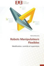 Robots Manipulateurs Flexibles