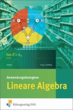 Anwendungsbezogene Lineare Algebra für die Allgemeine Hochschulreife an Beruflichen Schulen