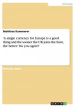 'A single currency for Europe is a good thing and the sooner the UK joins the Euro, the better.' Do you agree?