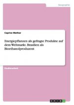 Energiepflanzen als gefragte Produkte auf dem Weltmarkt. Brasilien als Bioethanolproduzent