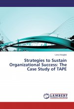 Strategies to Sustain Organizational Success: The Case Study of TAPE