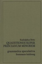 Quaestiones super Priscianum minorem, 2 Teile