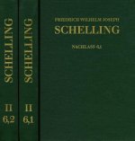 Friedrich Wilhelm Joseph Schelling: Historisch-kritische Ausgabe / Reihe II: Nachlaß. Band 6,1-2: Philosophie der Kunst und weitere Schriften (1796-18