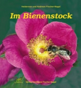 Im Bienenstock