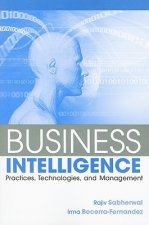 Business Intelligence (WSE)