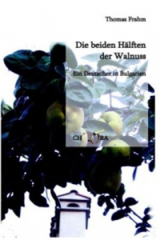 Die beiden Hälften der Walnuss