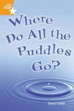 Rigby Star Guided Quest Orange: Where Do All The Puddles Go? Pupil Book Single