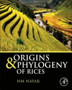 Origin and Phylogeny of Rices
