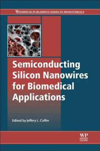 Semiconducting Silicon Nanowires for Biomedical Applications