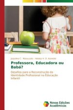 Professora, Educadora ou Baba?