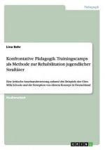 Konfrontative Padagogik. Trainingscamps als Methode zur Rehabilitation jugendlicher Straftater