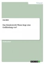 Kindeswohl. Wann liegt eine Gefahrdung vor?