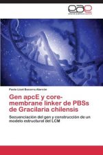 Gen apcE y core-membrane linker de PBSs de Gracilaria chilensis