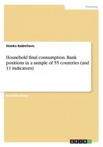 Household final consumption. Rank positions in a sample of 55 countries (and 11 indicators)