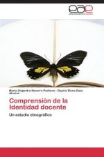 Comprension de la Identidad docente