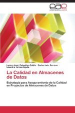 Calidad en Almacenes de Datos